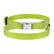 Ошейник BronzeDog Active, для собак и кошек, нейлоновый, фастекс хром, салатовый, 18-28×1 см