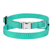 Ошейник BronzeDog Active, для собак и кошек, нейлоновый, фастекс хром, бирюзовый, 18-28×1 см