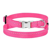 Ошейник BronzeDog Active, для собак и кошек, нейлоновый, фастекс хром, розовый, 18-28×1 см