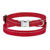 Ошейник BronzeDog Active, для собак и кошек, нейлоновый, фастекс хром, красный, 18-28×1 см