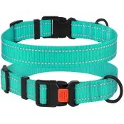 Ошейник BronzeDog Active, для собак, нейлоновый, фастекс пластик, бирюзовый, 25-33×1.6 см
