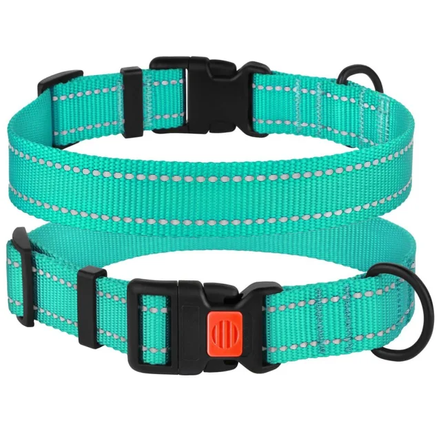 Ошейник BronzeDog Active, для собак, нейлоновый, фастекс пластик, бирюзовый, 30-40×2 см