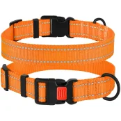 Ошейник BronzeDog Active, для собак, нейлоновый, фастекс пластик, оранжевый, 35-53×2.5 см