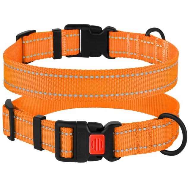 Ошейник BronzeDog Active, для собак, нейлоновый, фастекс пластик, оранжевый, 35-53×2.5 см