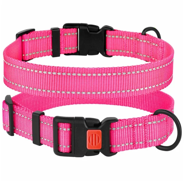 Ошейник BronzeDog Active, для собак, нейлоновый, фастекс пластик, розовый, 43-66×2.5 см