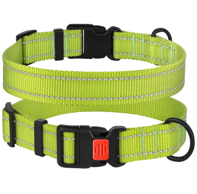 Ошейник BronzeDog Active, для собак, нейлоновый, фастекс пластик, салатовый, 35-53×2.5 см