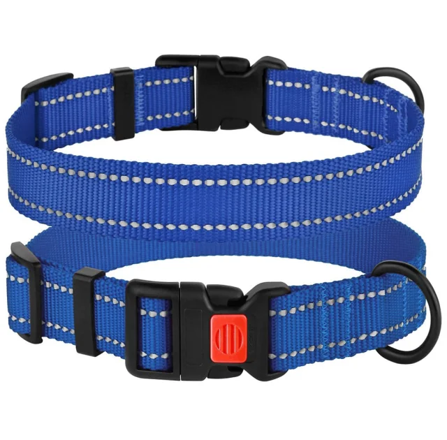 Ошейник BronzeDog Active, для собак, нейлоновый, фастекс пластик, синий, 30-40×2 см