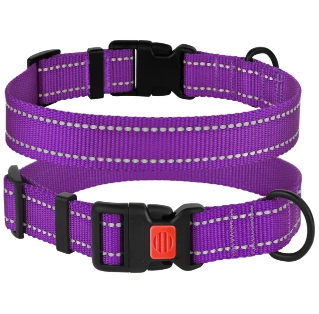 Нашийник BronzeDog Active, для собак, нейлоновий, фастекс пластик, фіолетовий, 25-33×1.6 см