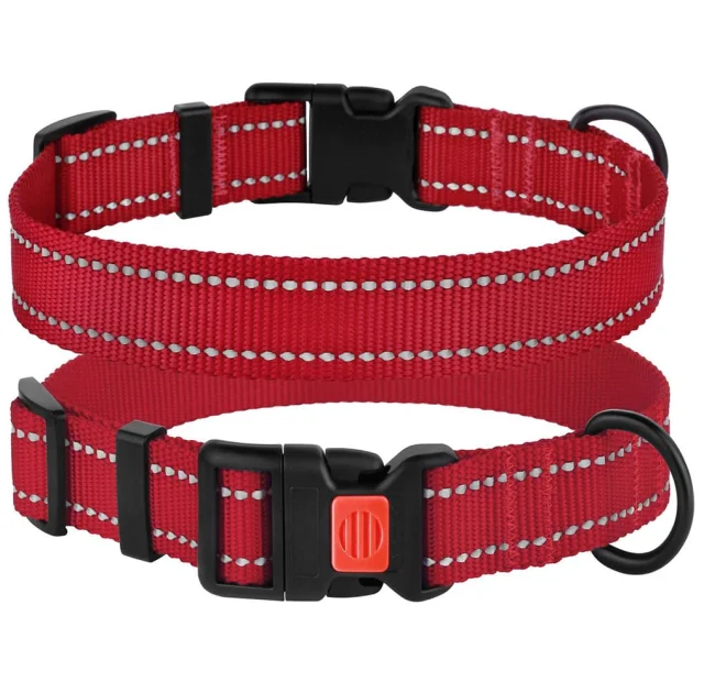 Ошейник BronzeDog Active, для собак, нейлоновый, фастекс пластик, красный, 43-66×2.5 см