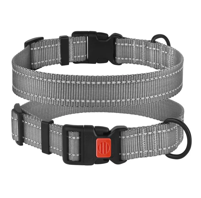 Ошейник BronzeDog Active, для собак, нейлоновый, фастекс пластик, серый, 25-33×1.6 см