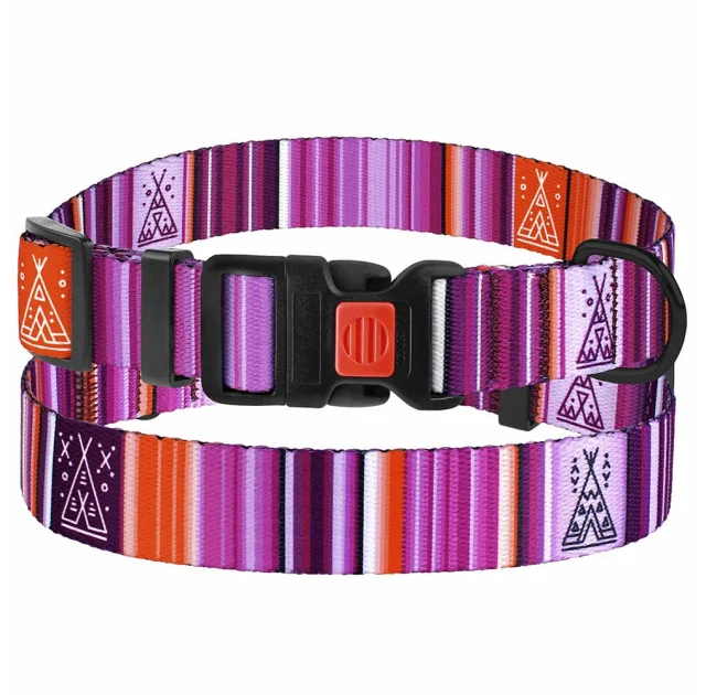 Ошейник BronzeDog Urban West, для собак, нейлоновый, фастекс пластиковый, фиолетовый, 30-40×2 см
