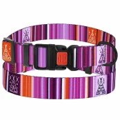 Ошейник BronzeDog Urban West, для собак, нейлоновый, фастекс пластиковый, фиолетовый, 25-33×1.6 см