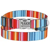 Ошейник BronzeDog Urban West, для собак и кошек, нейлоновый, фастекс металлический, красный, 18-30×1 см