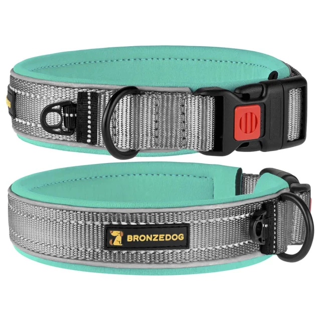 Ошейник BronzeDog Sport, для собак, неопрен, фастекс пластик, серо-бирюзовый, 51-59×2.5 см