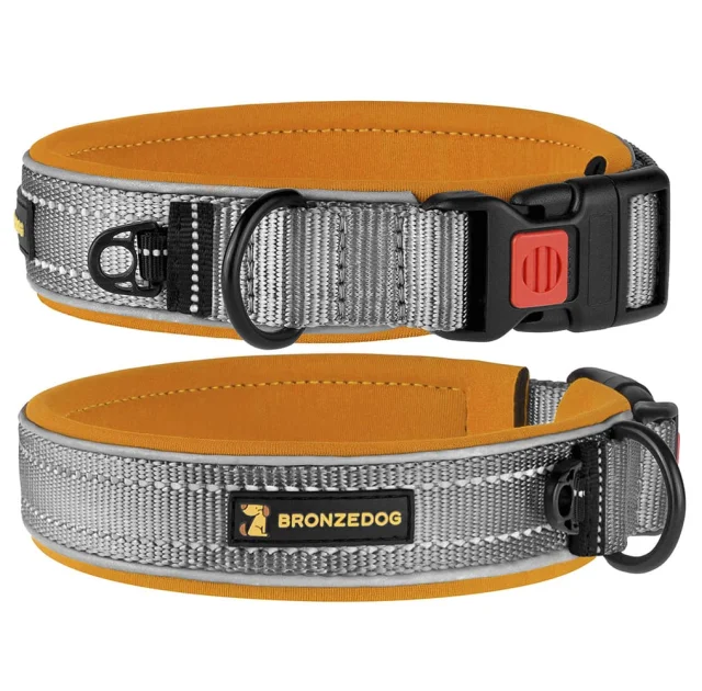 Ошейник BronzeDog Sport, для собак, неопрен, фастекс пластик, серо-оранжевый, 36-43×2 см