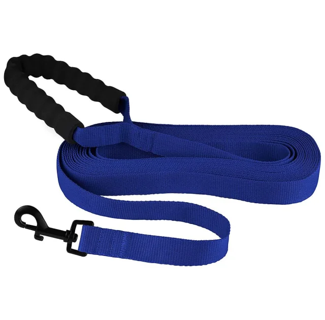 Поводок BronzeDog Active для собак, нейлоновый с мягкой ручкой, синий, 15 м×2.5 см