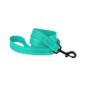 Поводок BronzeDog Active для собак, светоотражающий нейлон, бирюзовый, 152×1.6 см