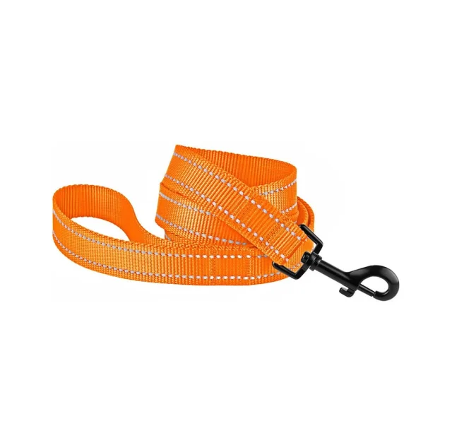 Поводок BronzeDog Active для собак, светоотражающий нейлон, оранжевый, 152×2.5 см