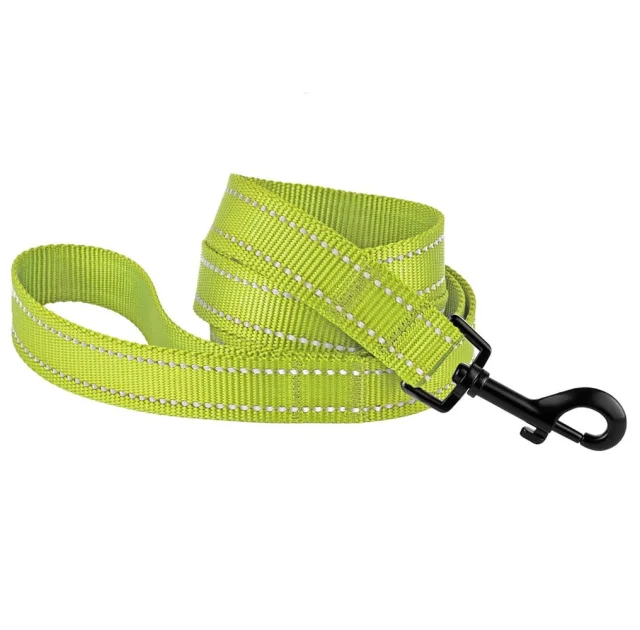 Поводок BronzeDog Active для собак, светоотражающий нейлон, салатовый, 152×2.5 см