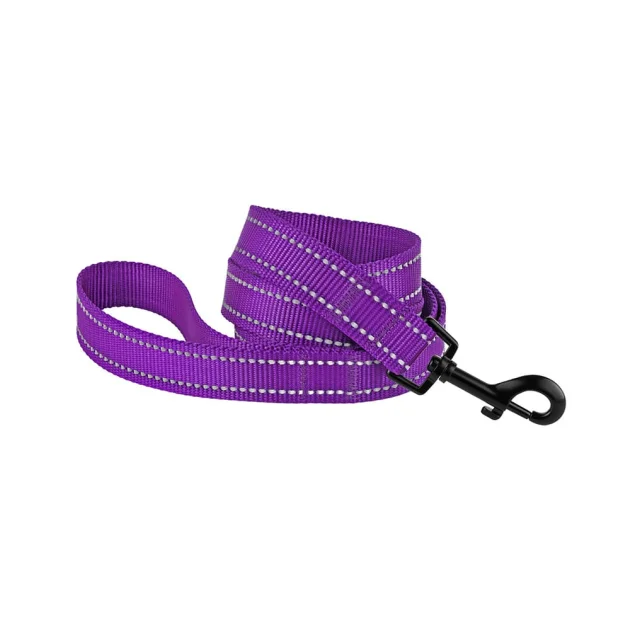 Поводок BronzeDog Active для собак, светоотражающий нейлон, фиолетовый, 152×1.6 см