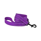 Поводок BronzeDog Active для собак, светоотражающий нейлон, фиолетовый, 152×1 см
