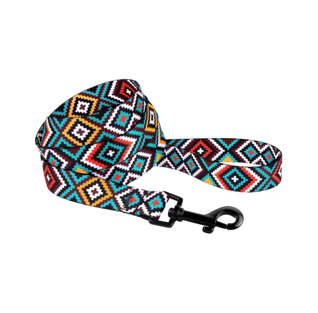 Поводок BronzeDog Tribal для собак, нейлон, принт гуцульский, ментоловый, 152×2 см