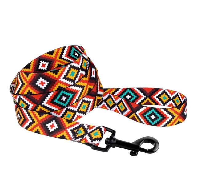Поводок BronzeDog Tribal для собак, нейлон, принт гуцульский, оранжевый, 152×2.5 см