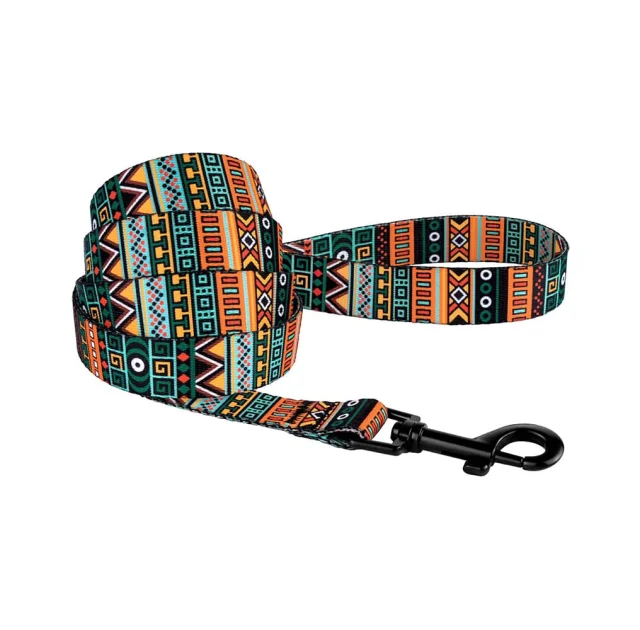 Поводок BronzeDog Tribal для собак, нейлон, принт этнический, ментоловый, 152×1.6 см