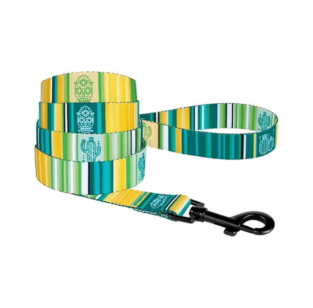 Поводок BronzeDog Urban West для собак, салатовый, 152×2 см