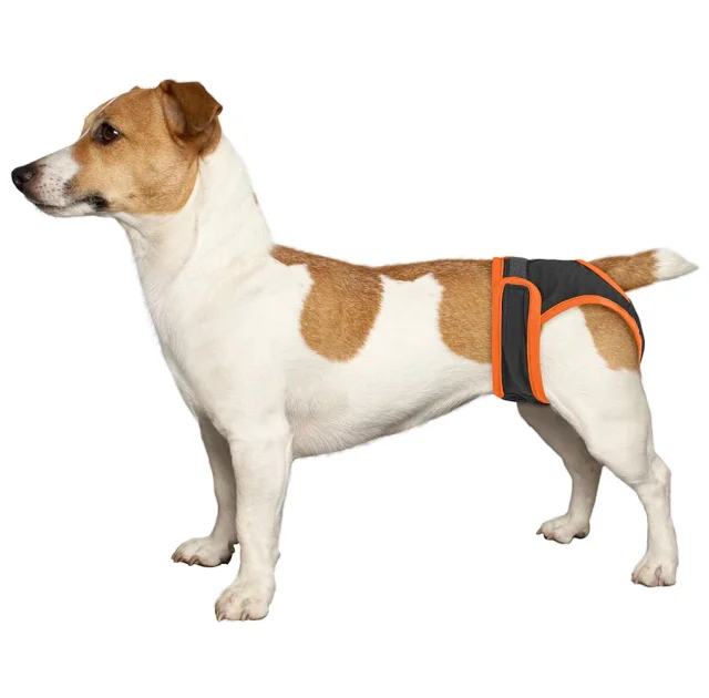 Трусы гигиенические BronzeDog для собак, трикотаж, регулируемые, серый, 2XL