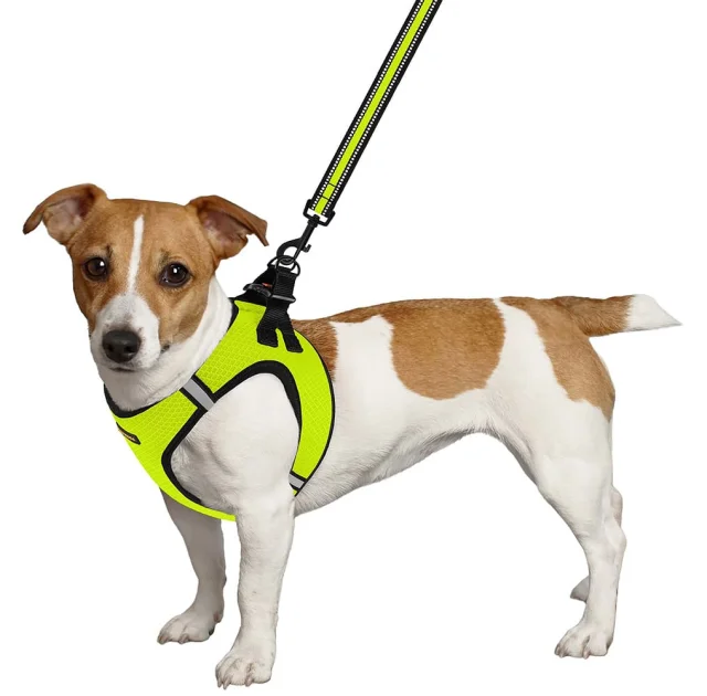 Шлея BronzeDog Mesh Vest для собак, сетчатый нейлон, лимонный, 24-26 см