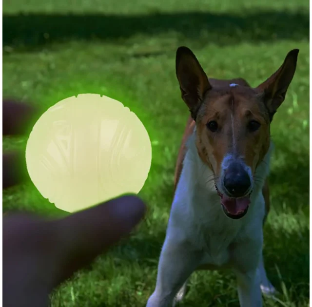 Іграшка-м'яч для собак BronzeDog Skipdawg Neon Glow ball, Світлонакопичувальні, 7 см