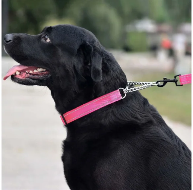 Ошейник-полуудавка BronzeDog, для собак, нейлоновый, фастекс, светоотражающий, розовый, 35-43×2 см