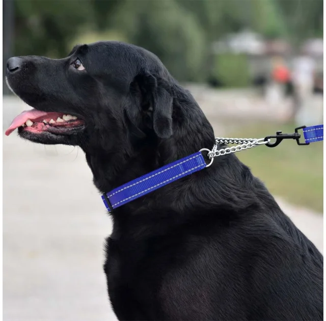 Ошейник-полуудавка BronzeDog, для собак, нейлоновый, фастекс, светоотражающий, синий, 35-43×2 см