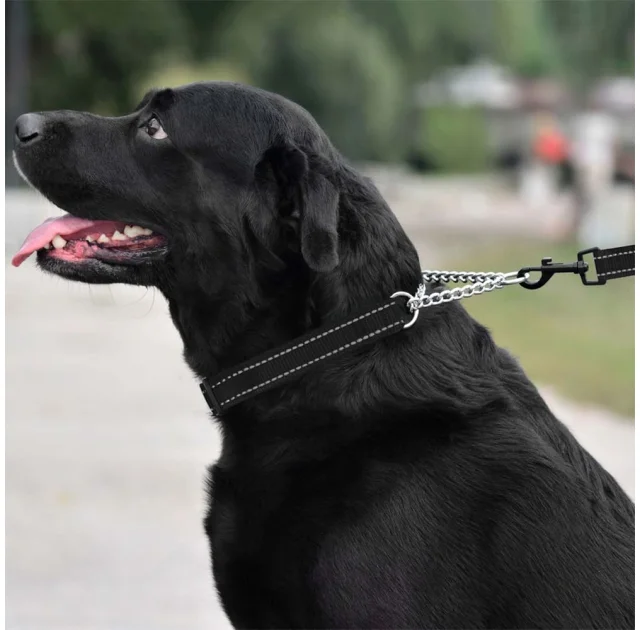 Ошейник-полуудавка BronzeDog, для собак, нейлоновый, фастекс, светоотражающий, чёрный, 41-55×2.5 см