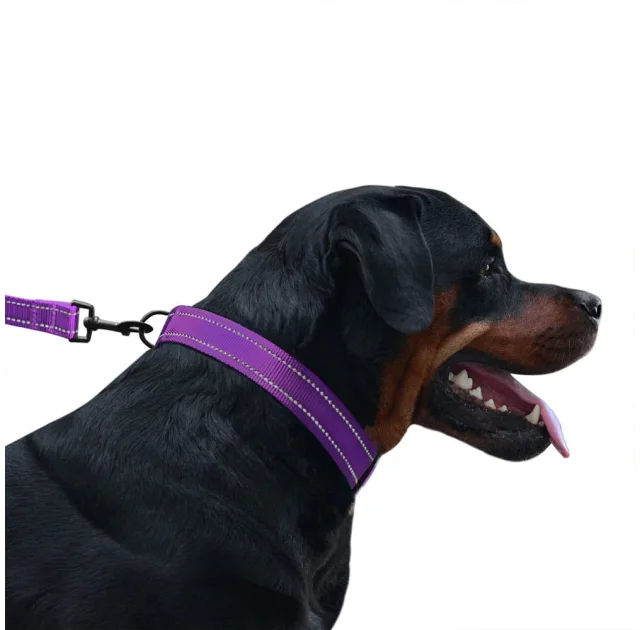 Нашийник BronzeDog Active, для собак, нейлоновий, фастекс пластик, фіолетовий, 43-66×2.5 см