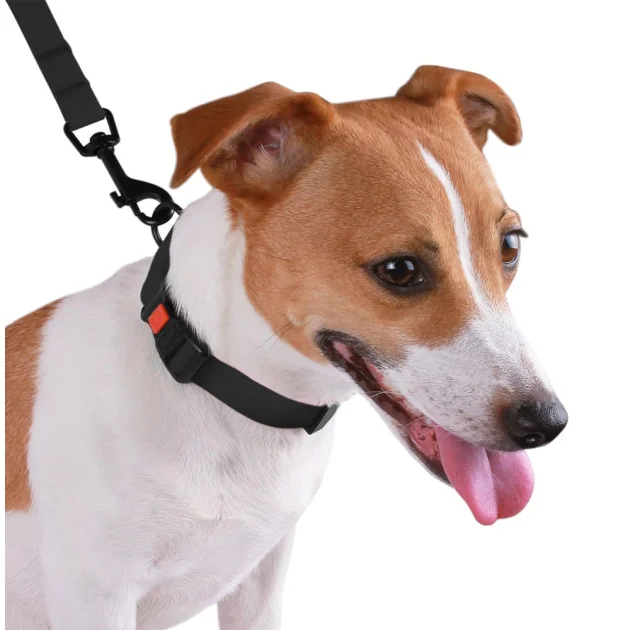 Ошейник BronzeDog Active, для собак, водоотталкивающий, фастекс пластик, чёрный, 35-53×2.5 см