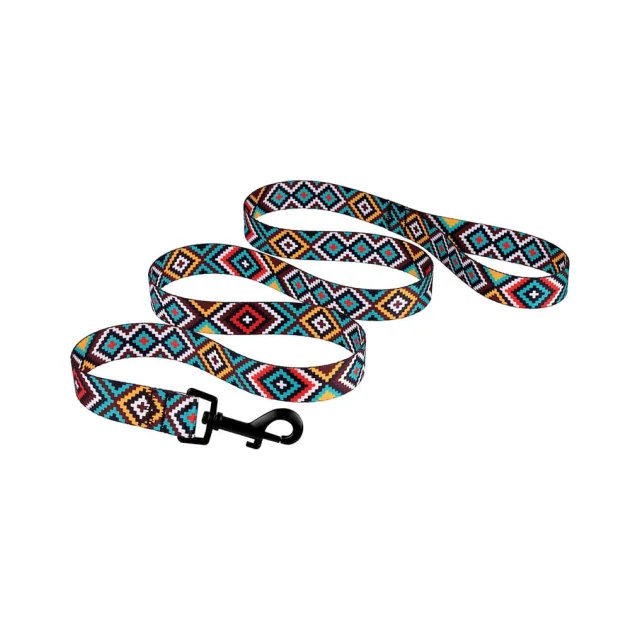 Поводок BronzeDog Tribal для собак, нейлон, принт гуцульский, ментоловый, 152×1.6 см
