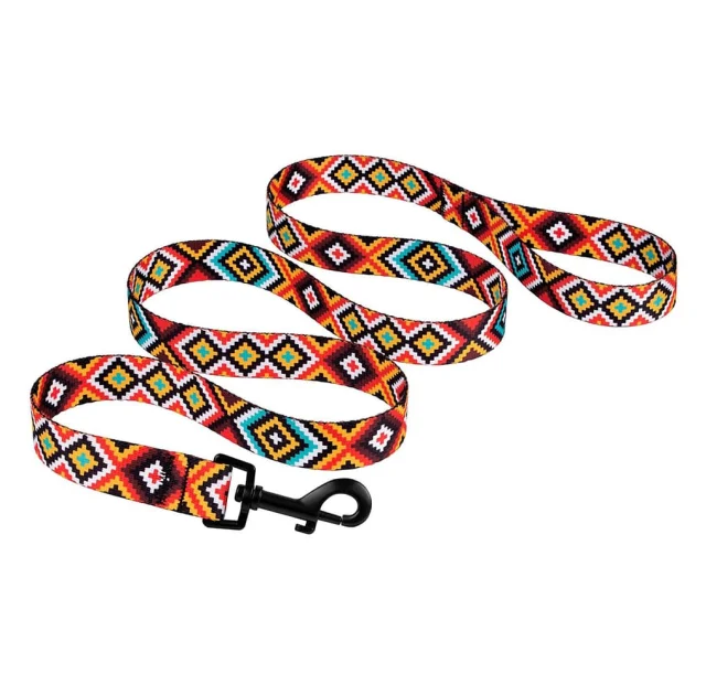 Поводок BronzeDog Tribal для собак, нейлон, принт гуцульский, оранжевый, 152×1 см