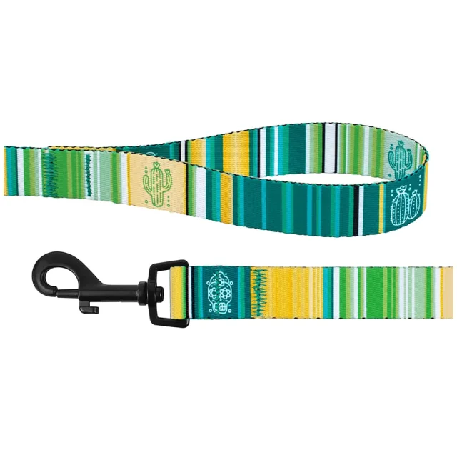 Поводок BronzeDog Urban West для собак, салатовый, 152×2 см