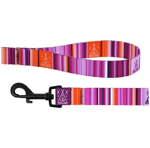 Поводок BronzeDog Urban West для собак, фиолетовый, 152×2.5 см