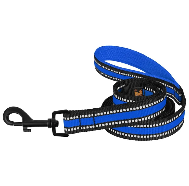 Поводок BronzeDog Mesh для собак, сетчатый нейлон, синий, 200×1.6 см