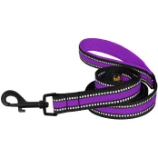Поводок BronzeDog Mesh для собак, сетчатый нейлон, фиолетовый, 200×1.6 см