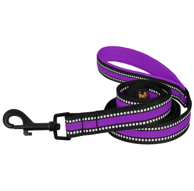 Поводок BronzeDog Mesh для собак, сетчатый нейлон, фиолетовый, 200×1.6 см