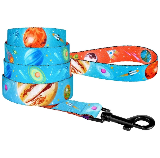 Поводок BronzeDog для собак, нейлон, принт космос, голубой, 152×1 см