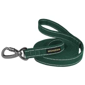 Повідець BronzeDog Cotton для собак, брезент з карабіном на замку, зелений, 300×2.5 см