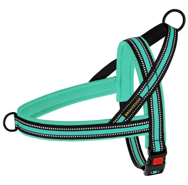 Шлея BronzeDog Mesh Скандинавская для собак, ментоловый, 32-38 см