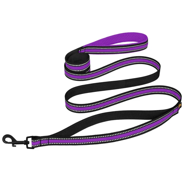Поводок BronzeDog Mesh для собак, сетчатый нейлон, фиолетовый, 200×1.6 см