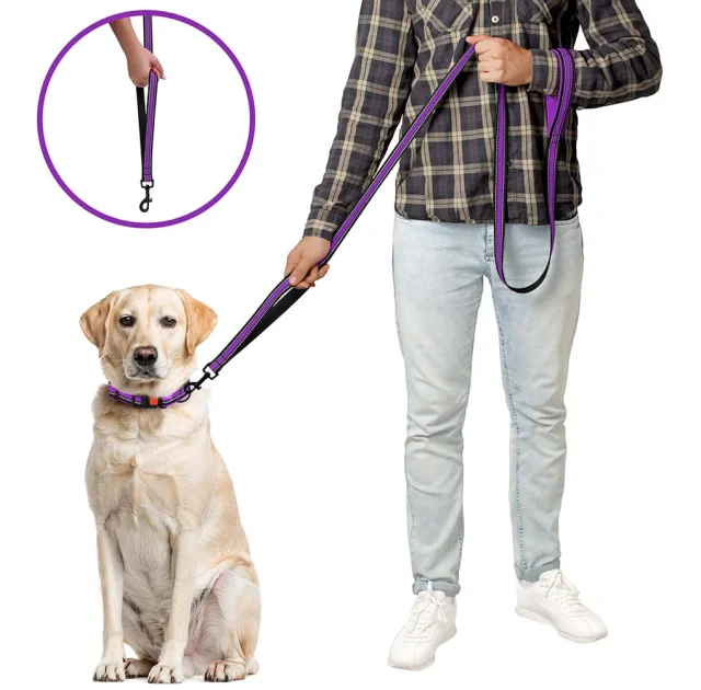 Поводок BronzeDog Mesh для собак, сетчатый нейлон, фиолетовый, 200×2 см