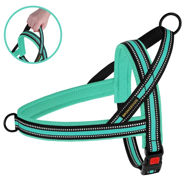 Шлея BronzeDog Mesh Скандинавская для собак, ментоловый, 44-60 см